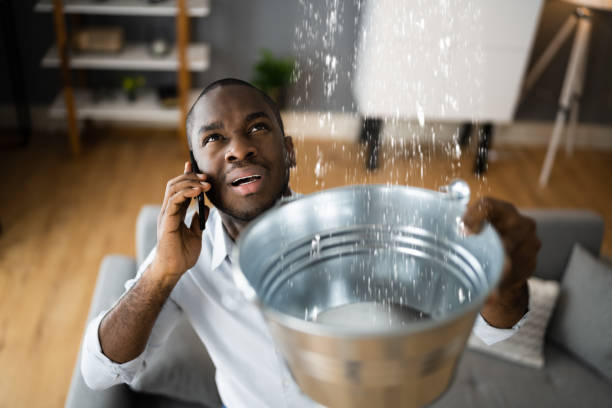 Best Flood restoration services  in Brent, FL