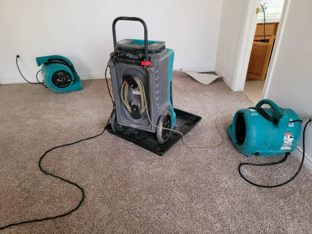  Brent, FL Water damage restoration Pros