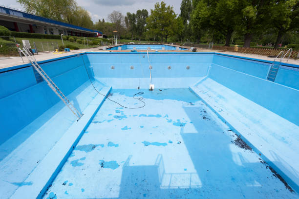 Best Mold removal after water damage  in Brent, FL