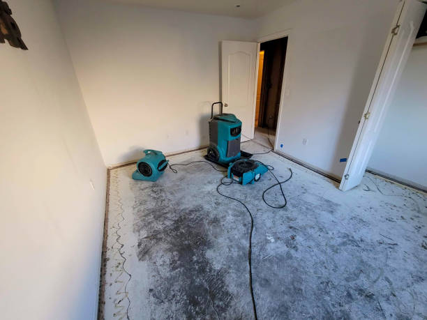 Best Ceiling water damage repair  in Brent, FL