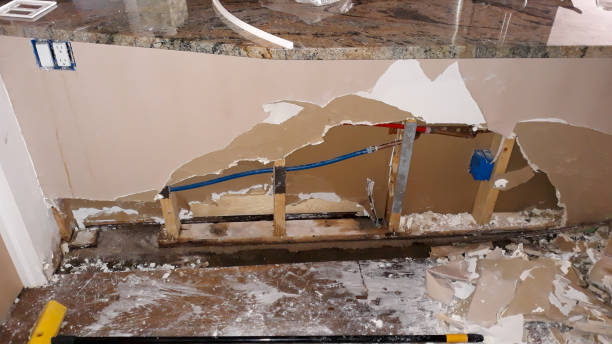 Best 24/7 water damage repair  in Brent, FL