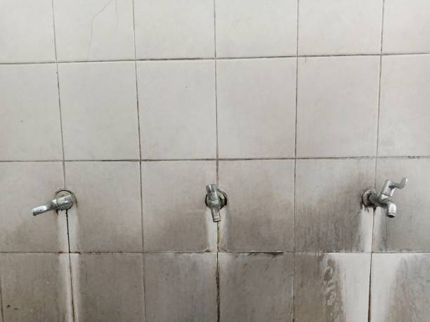 Best Sewage cleanup and water damage restoration  in Brent, FL