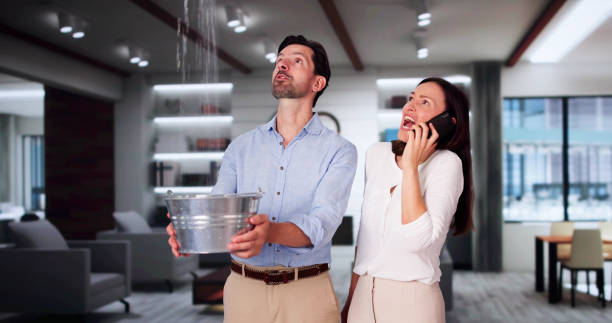 Best Basement water damage restoration  in Brent, FL